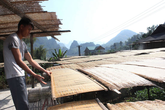Xã biên giới Phong Châu cán đích nông thôn mới ảnh 3